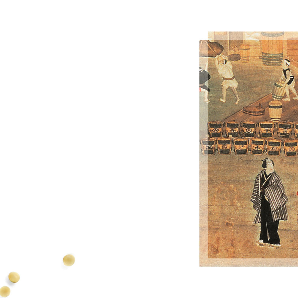 Sojasås den anrika smaksättaren