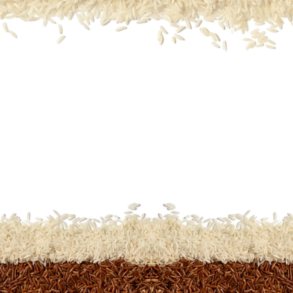 Världens vanligaste livsmedel