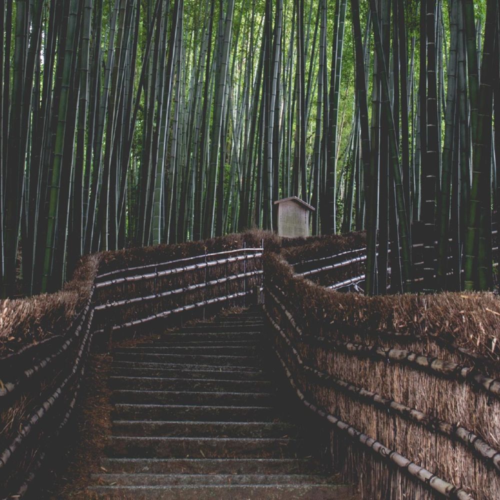 Kyoto, Japans Florens fascinerar