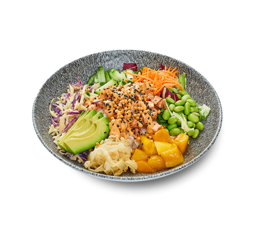 Flamed-Salmon-Bowl-Arare-Japanese-Salad_500