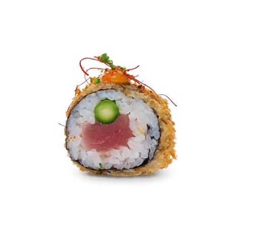 Fried-Spicy-Tuna-SOLO_500