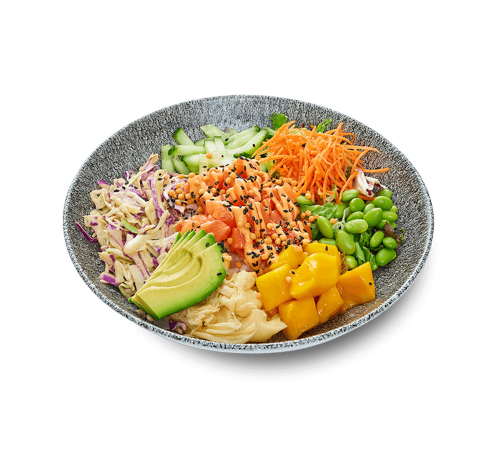 Salmon-Bowl-Arare-Japanese-Salad_500