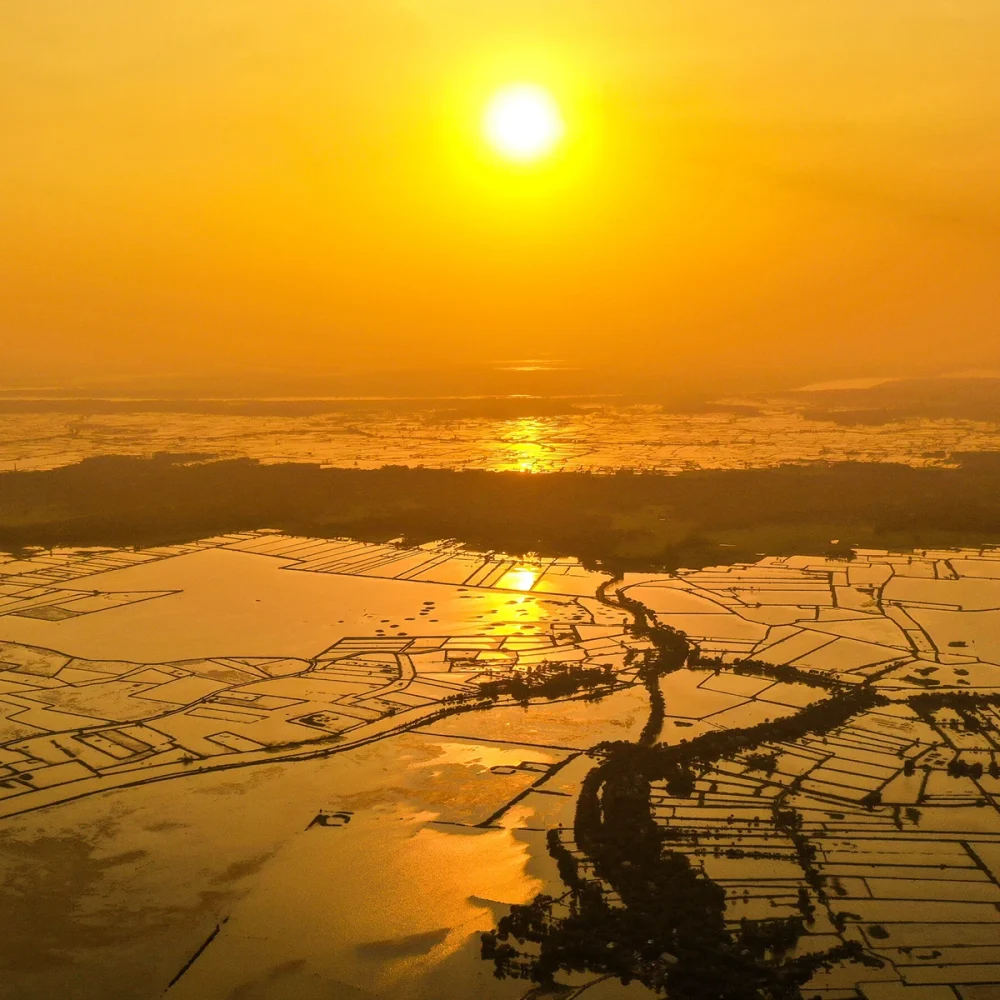 hallbarhet-sushi-yama-banner-img