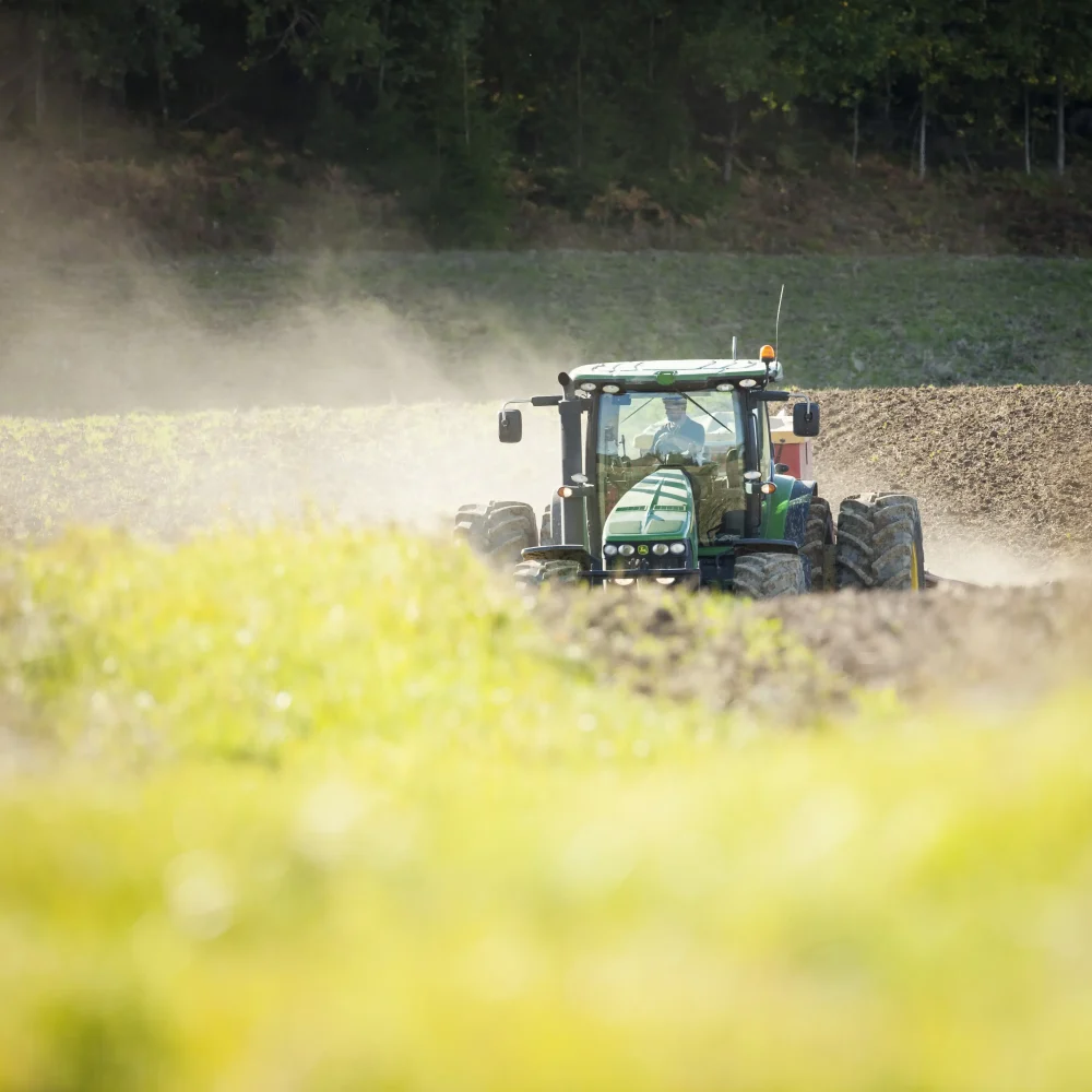 traktor rapsfält