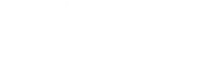 BRIS logotyp